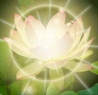 lotus.jpg