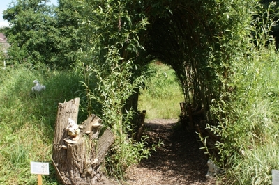 Wilgenboog 2009.JPG